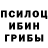Псилоцибиновые грибы мицелий Rusu Ion
