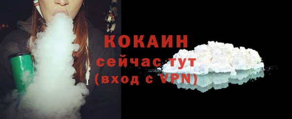 индика Покровск
