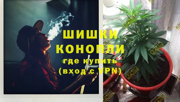 молекула духа Заволжск