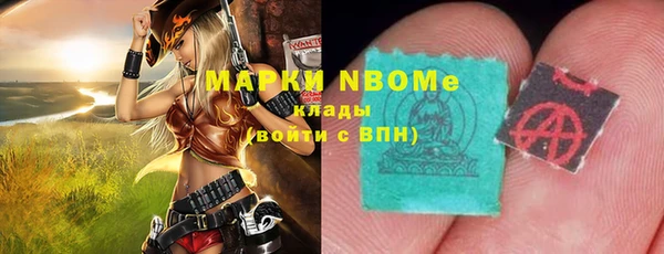 хмурый Покачи