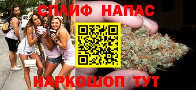 гидропоника Краснознаменск