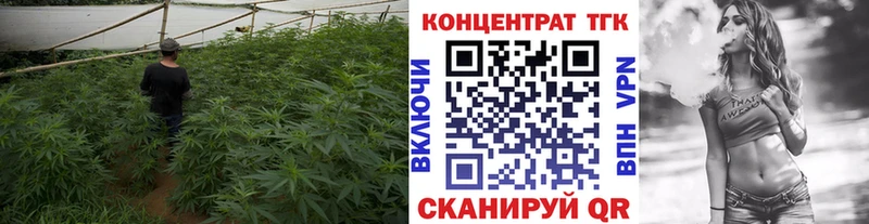 продажа наркотиков  Свободный  ТГК гашишное масло 