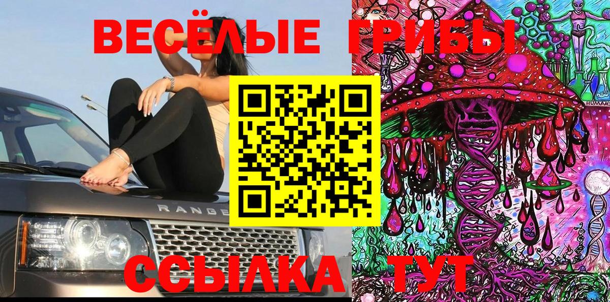 Псилоцибиновые грибы Magic Shrooms  Вход с VPN  Свободный  Галлюциногенные грибы MAGIC MUSHROOMS 